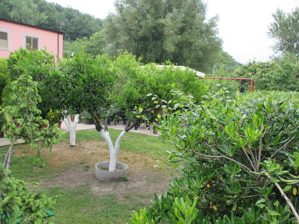 Palinuro Casa Vacanze "Donna Antonia" Exteriér fotografie
